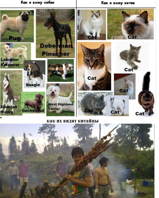 Китайский шашлык