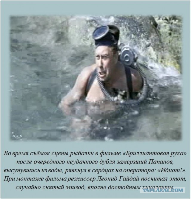 20 фактов обо всем