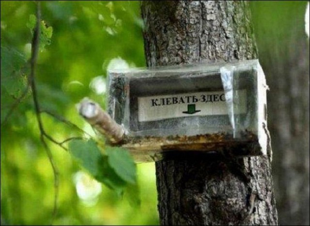 Когда корявые надписи на стенах смотрят в душу