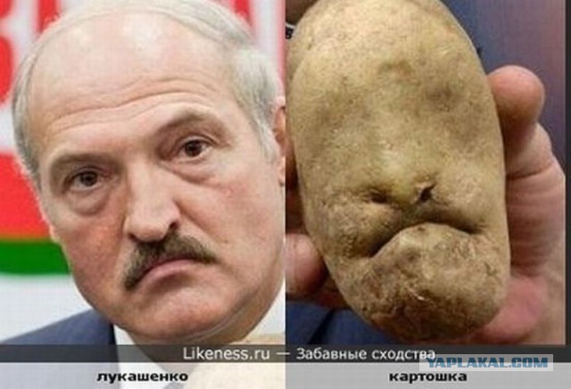Двойнички чтоли