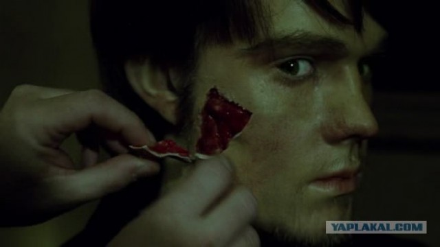 Чучело лисы