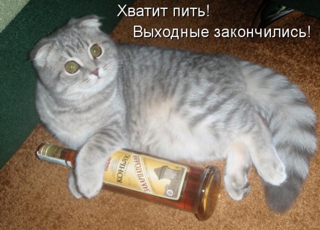 Wargaming 27