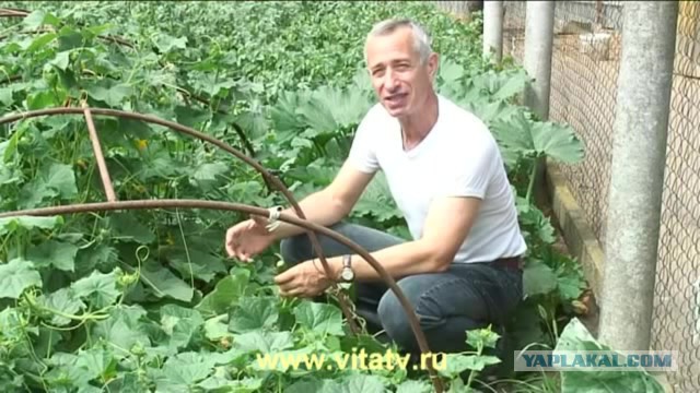 Православие - не для всех!