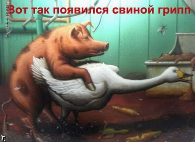 Плюшкиным посвящается
