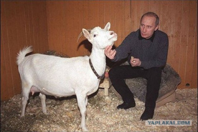 Что когда-либо дарили Путину
