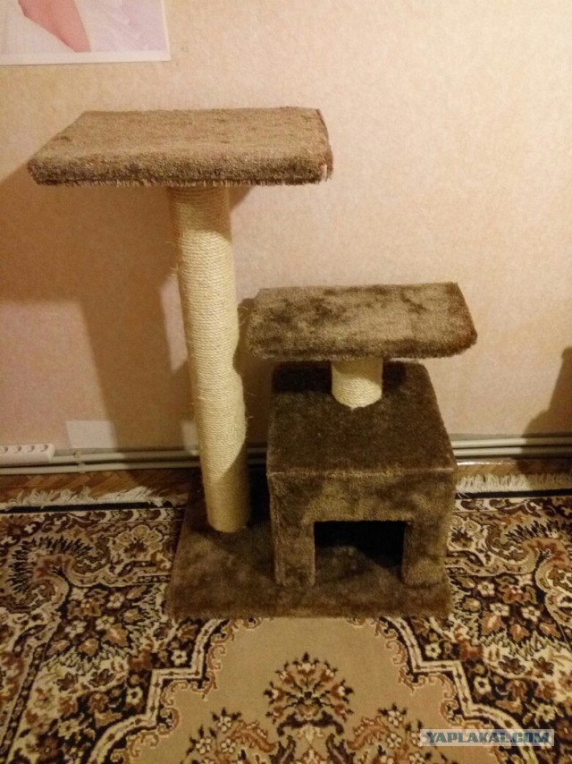 КОТЭдж