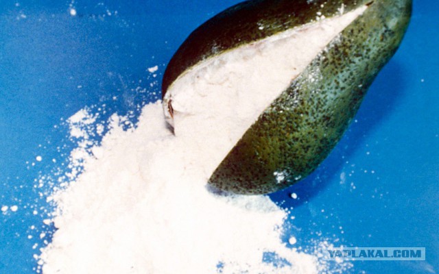 Контрабанда. Что-то пошло не так.