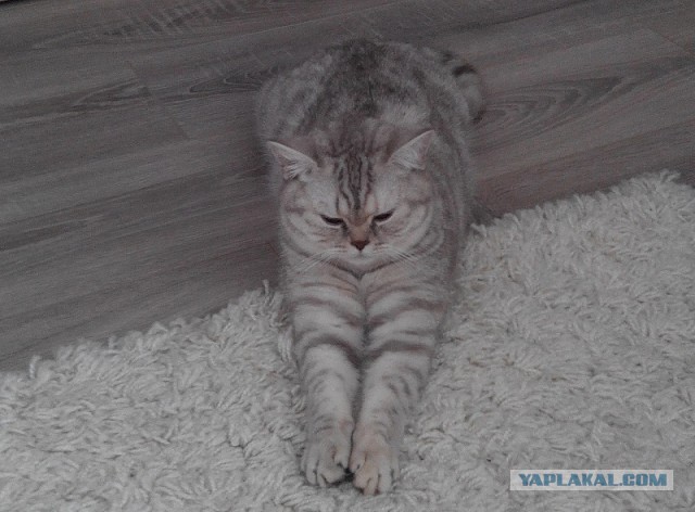 Те, которым мы помогли.