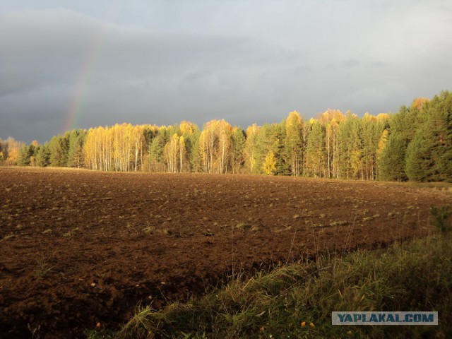 Приезжайте в деревню