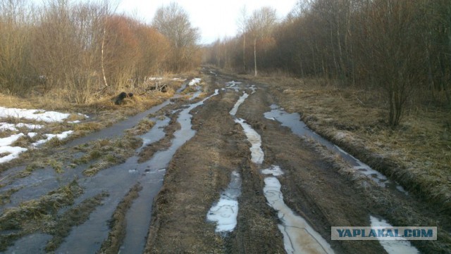 Что в мире называют русским?