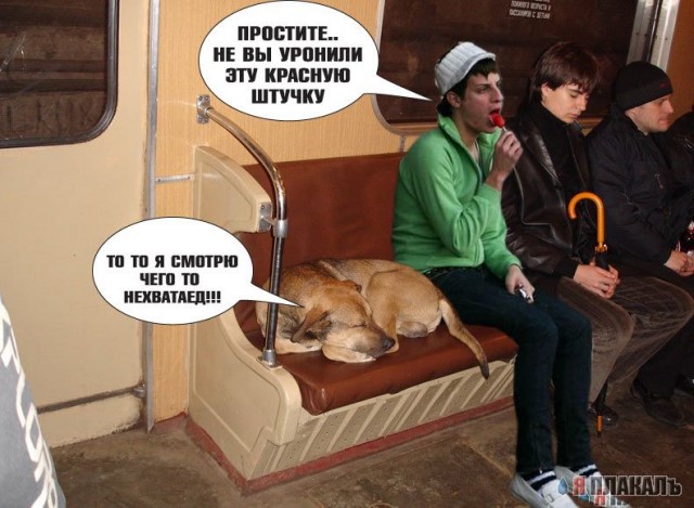 Фотожаба: Районник?