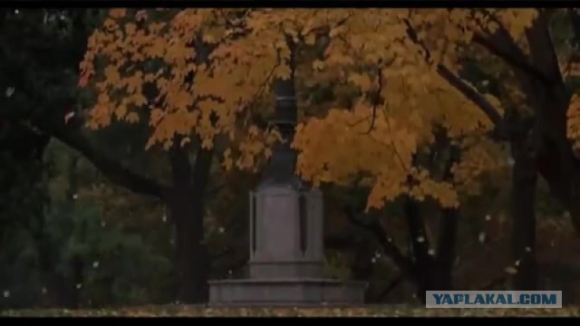 Жизнь как она есть 2