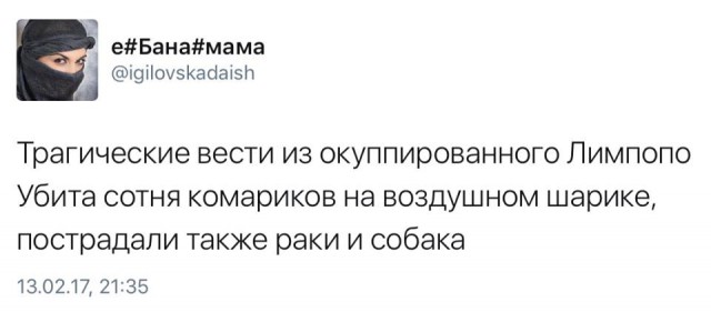Хроники Лимпопо