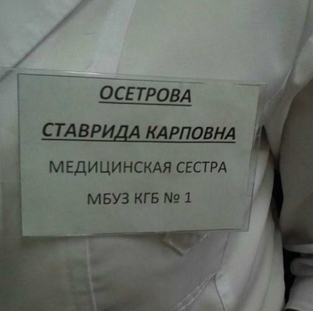 Подборка безудержного веселья