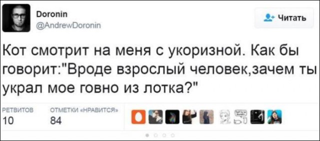 Смешные комментарии из социальных сетей 02.06.2017
