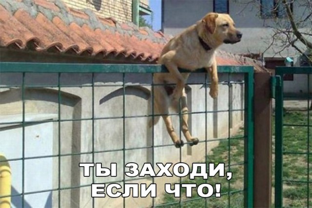 Смешные и не очень картинки из этих ваших интернетов