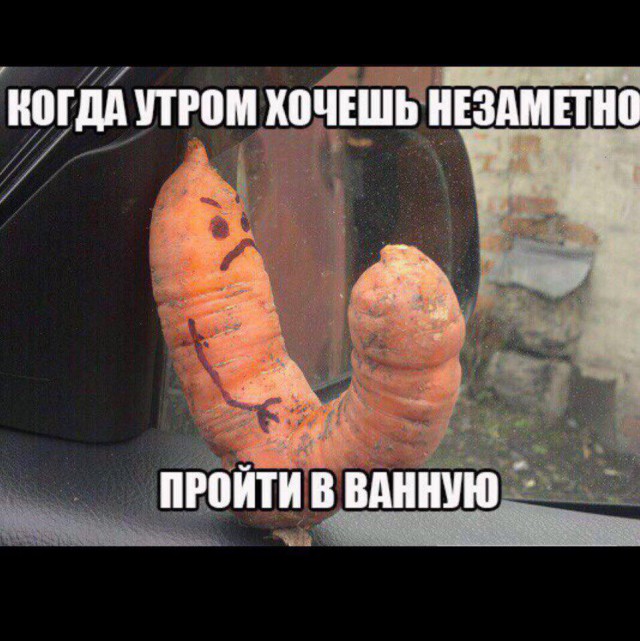 Время веселья для тёмных сил