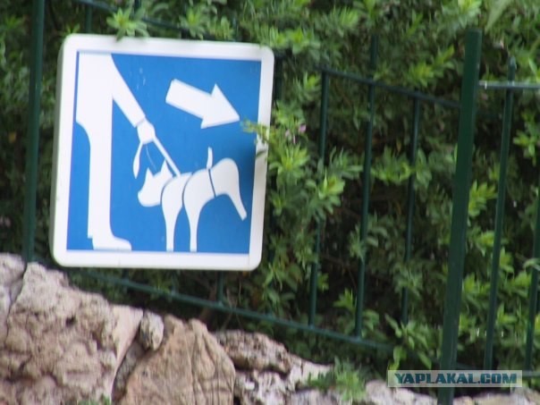 Прикольные дорожные знаки