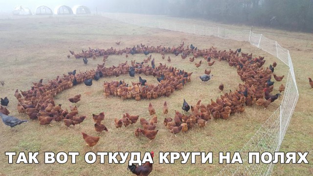 Прикольные картинки абавсём