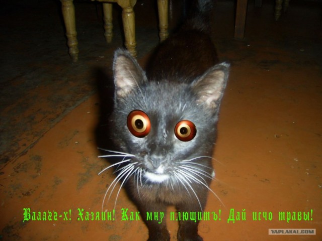 Он следит за вами!