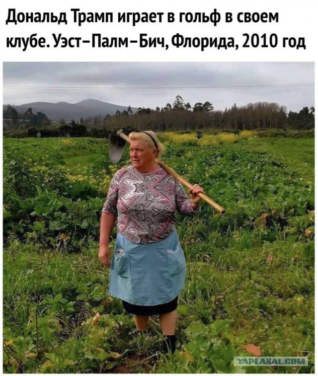 Подборка прикольных фоток