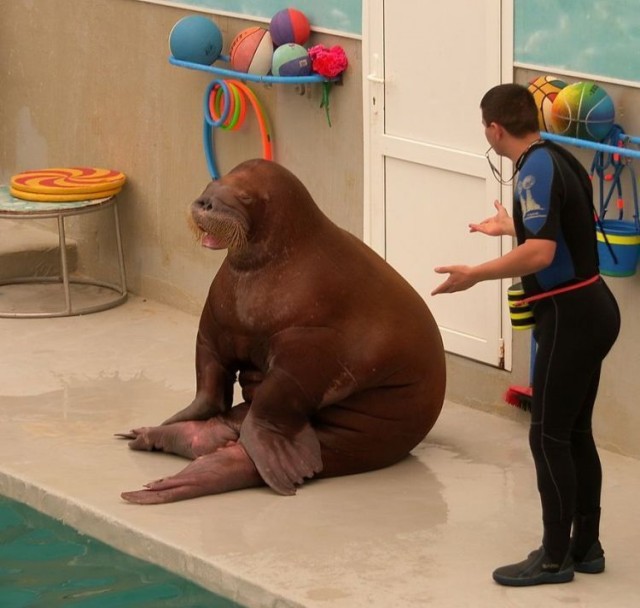 кто накуренный?