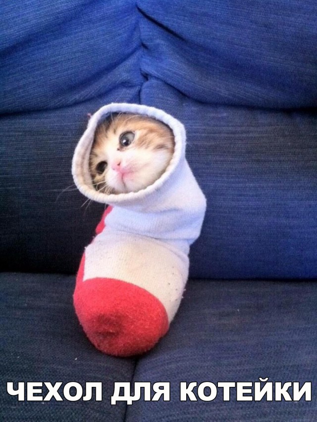 Немного милоты