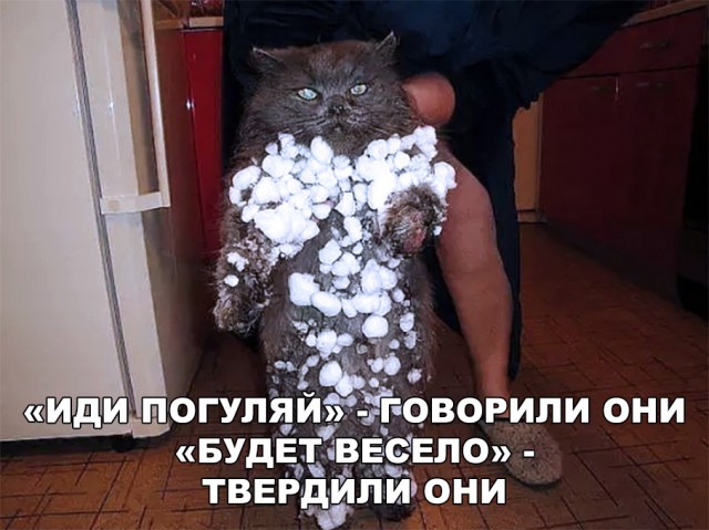 Немного милоты