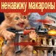 Аватары на заказ