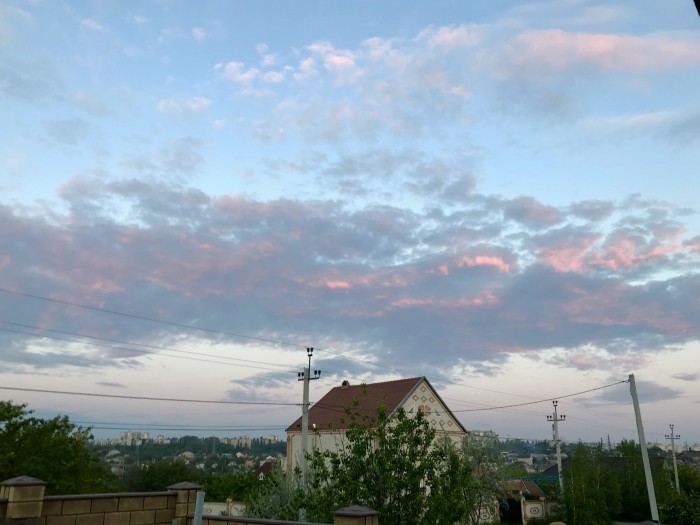 Лето, делимся видом из окна