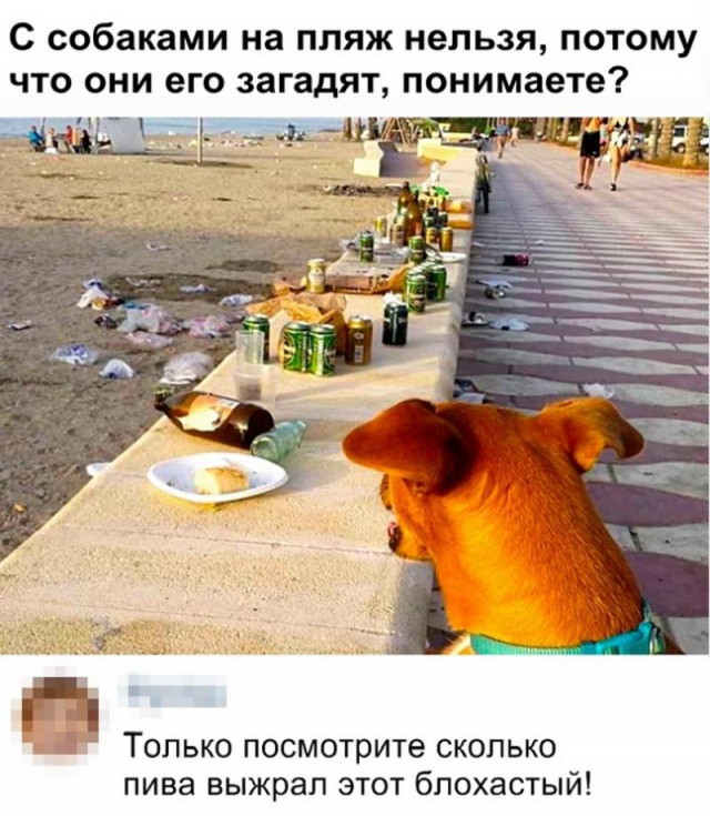 Картинки с надписями, истории и анекдоты