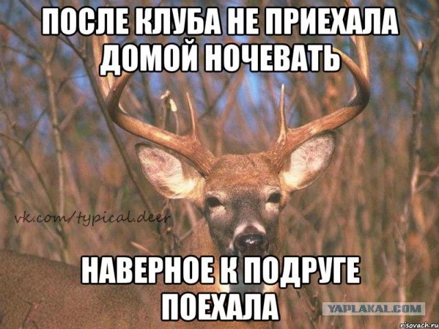 Помогите разобраться, жена предала...