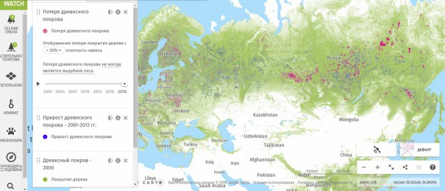 Карта потери древесного покрова России с 2001 по 2019 год
