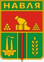 Больница в п.Навля Брянской области. Ужас!