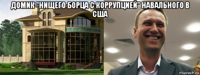 Американский дом Елены Малышевой