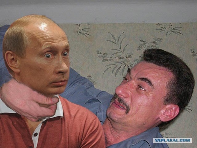 Злой кот