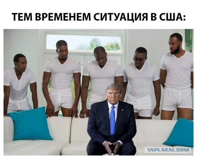 18 штатов США требуют отменить итоги выборов