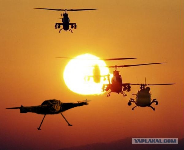 Фотожабы на котовертолёт