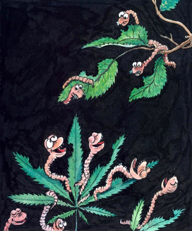 Карикатуры