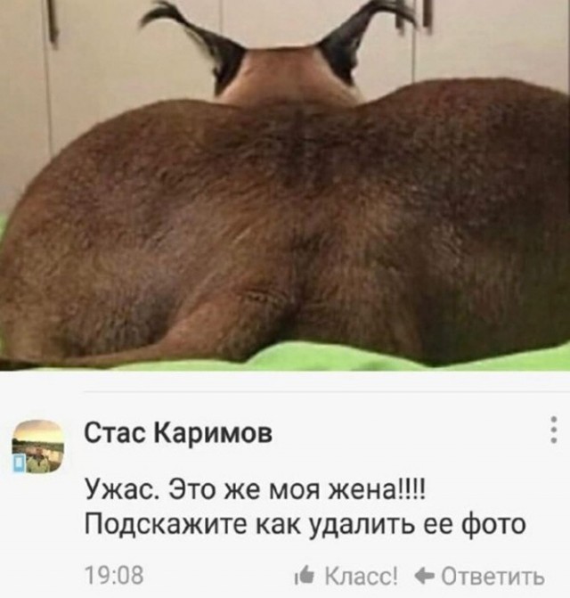 Картинки и мемы для настроения 004