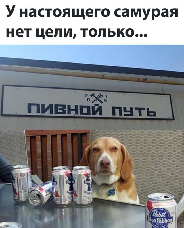 Так себе картинки 14.03.21