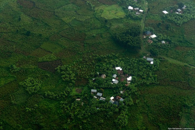 Уганда: самая настоящая Африка с гориллами и носорогами!