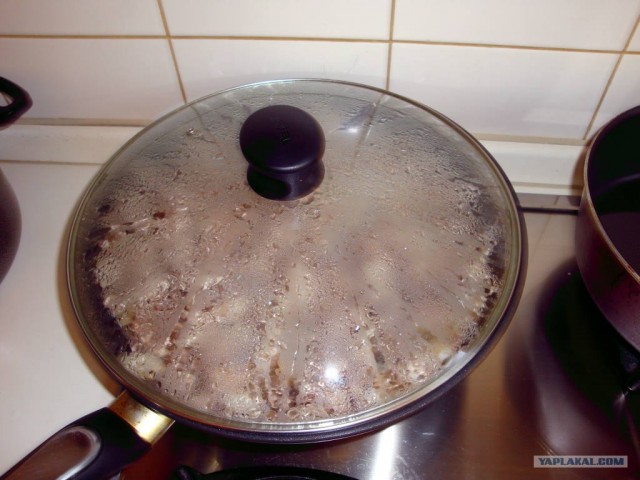 Свинина под соусом бешамель с грибами