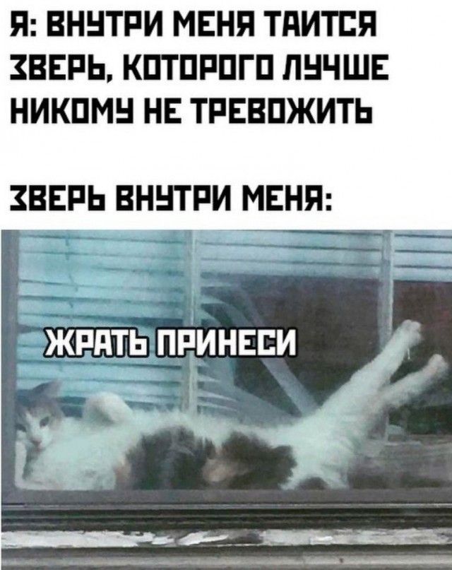 Так себе картинки 21.09.21