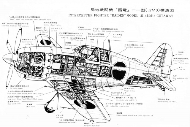 J2M Raiden. Грозный пухлячок