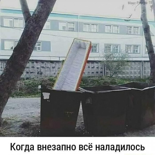 16433603.jpg