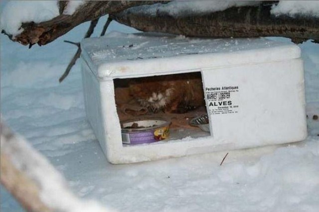 Всё хорошо, что хорошо кончается...