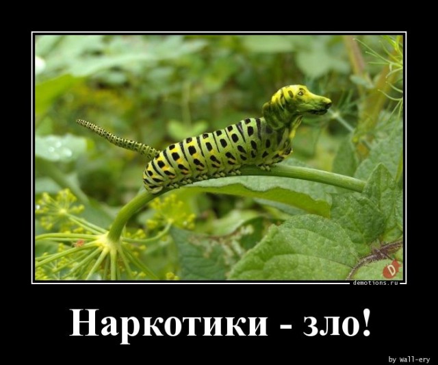 Пандемия. Коронавирус. Россия и мир. Часть 30.