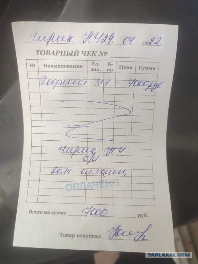 Котики в беде