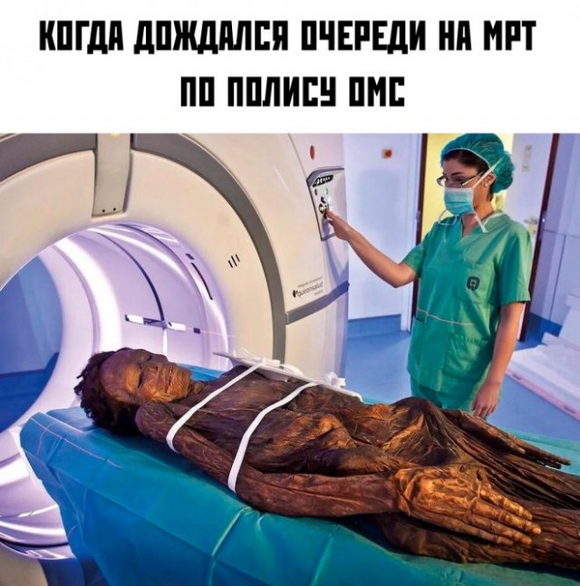Весёлый полтишок 16.05.22